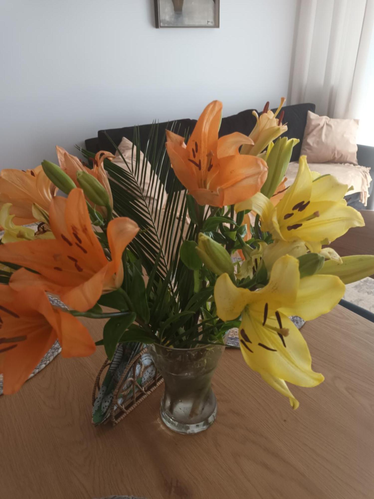Apartament Lilla 2 Jelenia Góra Kültér fotó